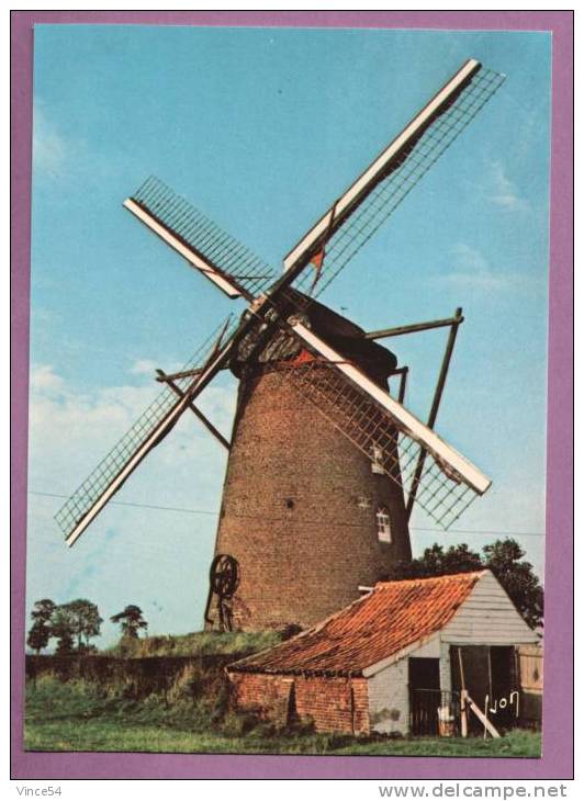 STEENVOORDE - Le Moulin - Collection Moulins Des Flandres - Steenvoorde