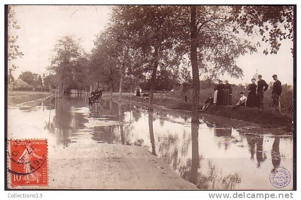 LOIRET - Jargeau - Carte Photo - Crue De La Loire - 20 Octobre 1907 - Route D'Orléans (Attelage De Chien) - Jargeau