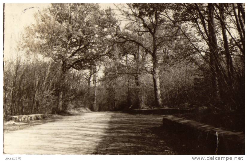 95 / MONTLIGNON / ROUTE DES PARQUETS - Montlignon