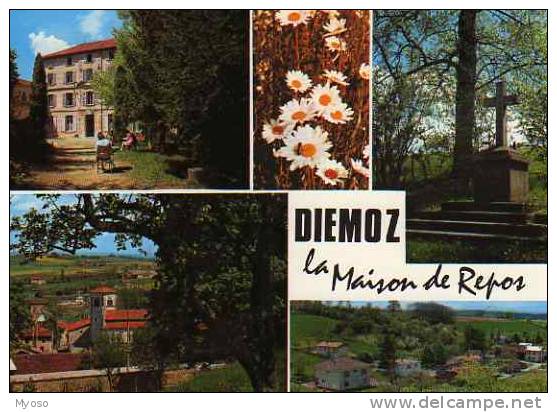 38 DIEMOZ La Maison De Repos Le Repos Sous Les Pins - Diémoz