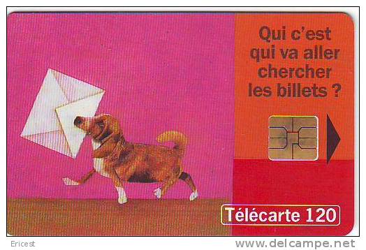 LE CHIEN 120U SO3 11.98 ETAT COURANT - 1998