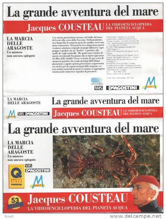 LA GRANDE AVVENTURA DEL MARE - LA MARCIA DELLE ARAGOSTE - Dokumentarfilme