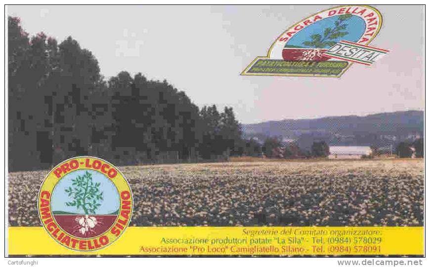 M CARTOLINA MOSTRA MERCATO  PATATA SILANA  1991 CAMIGLIATELLO SILANO COSENZA CALABRIA POMME DE TERRE POTATO KARTOFFEL - Landwirtschaftl. Anbau