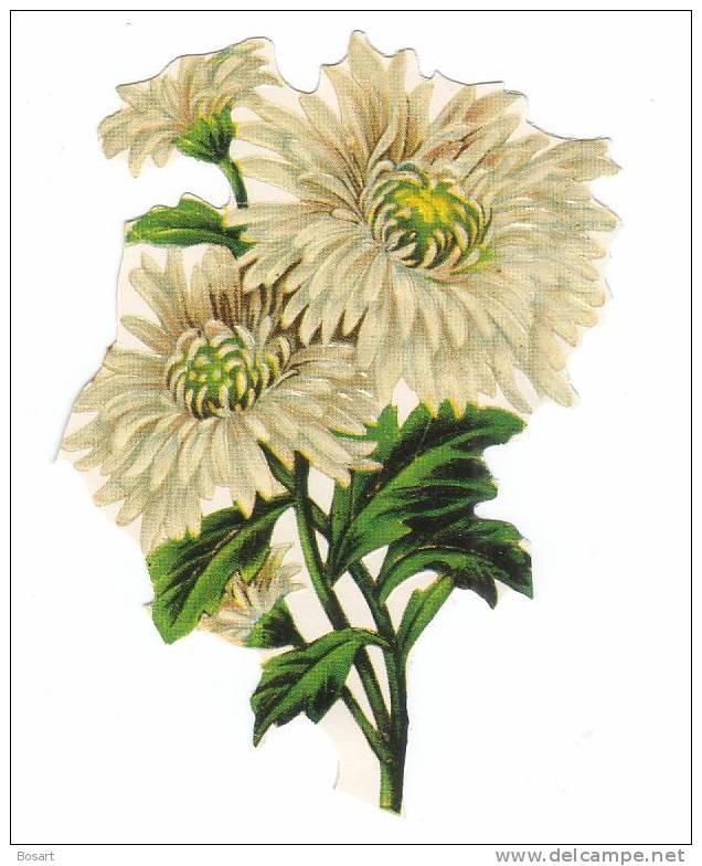 Decoupis Ht 90mm Branche De Dahlia Jaune Beige - Fleurs