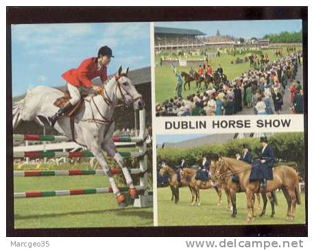 26256 Dublin Horse Show édit.john Hinde N° 2/252 Chevaux  Jumping Belle Cpsm - Dublin