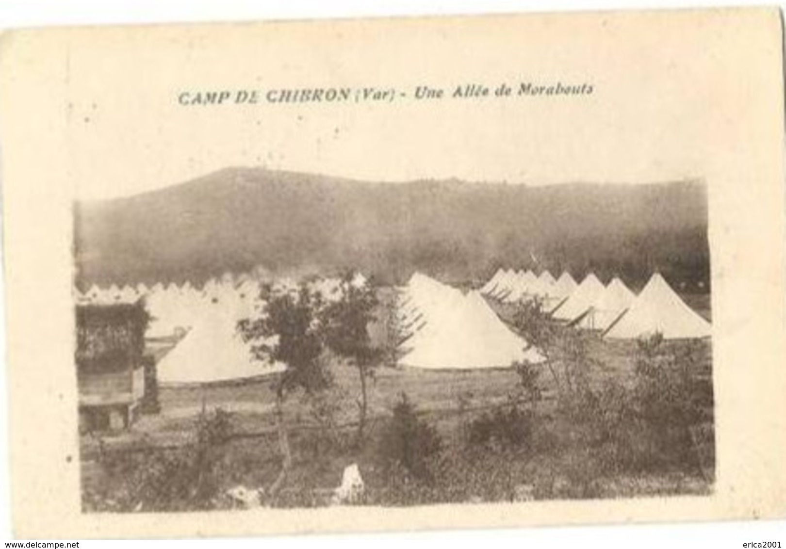 Signes.Camp De Chibron,une Allée De Marabouts. - Signes