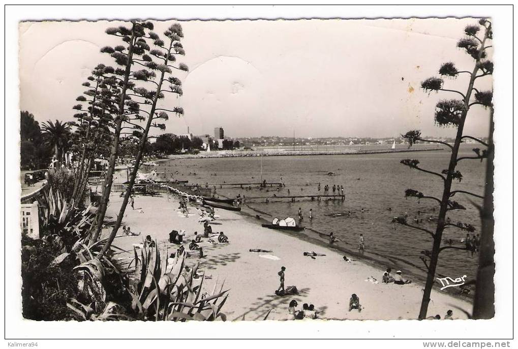 LA CÔTE D´AZUR / GOLFE-JUAN ( Alpes-Maritimes )/ LA PLAGE  ( Filet De BEACH-VOLLEY , à Droite = VOLLEYBALL , Années 50 ) - Voleibol