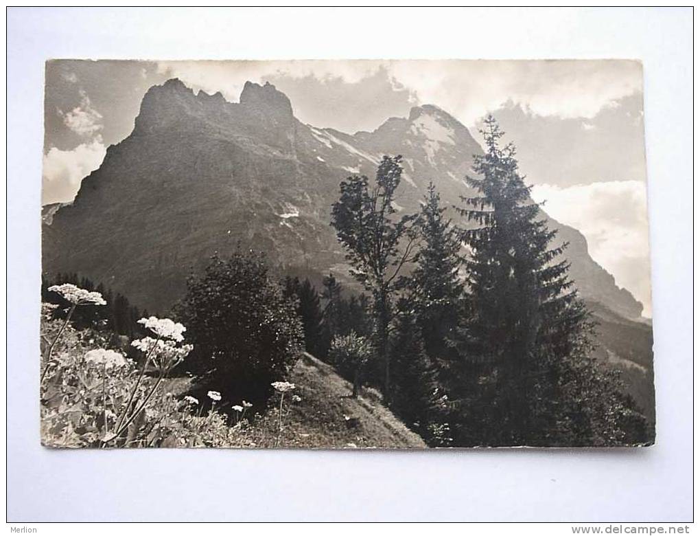 Grindelwald  Hörnli , Eiger BE- CH 1947  VF  D21285 - Grindelwald