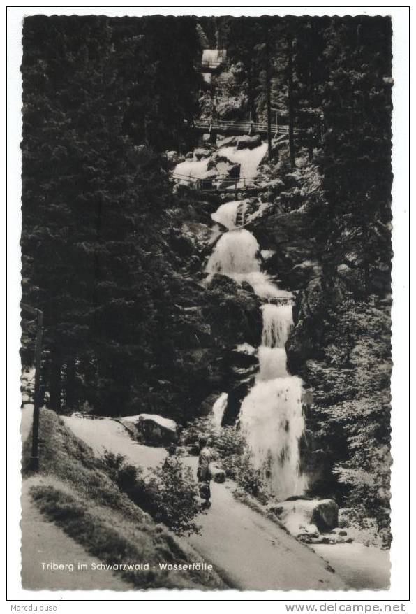 Triberg Im Schwarzwald. Wasserfälle. - Triberg