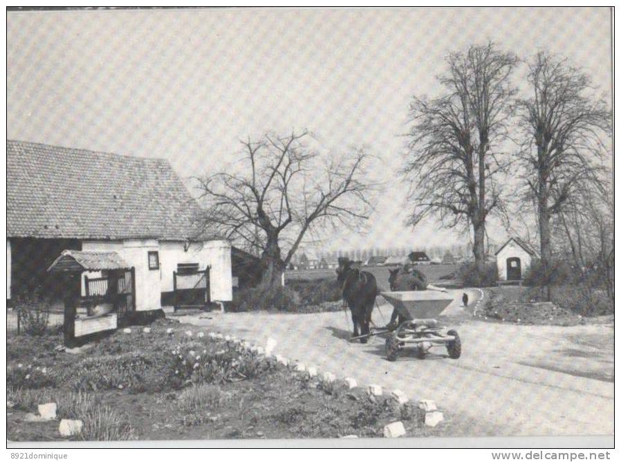 Landegem - Nevele - Hof Ter Dossche Anno 1393 - Nevele