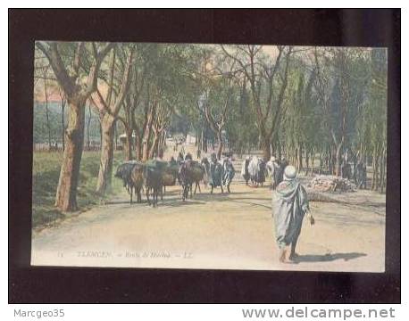 27012 Tlemcen Route De Marina  édit.LL N° 13 Couleur Animée Belle Carte - Tlemcen