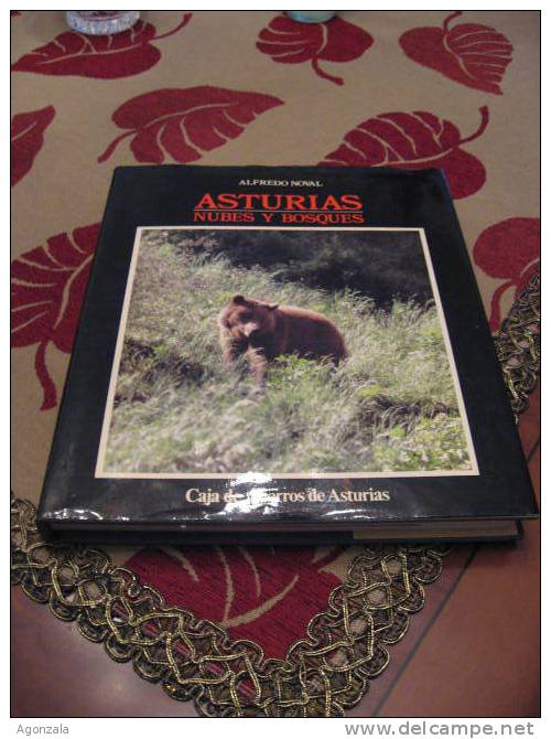 LIBRO ASTURIAS NUBES Y BOSQUES - Geography & Travel