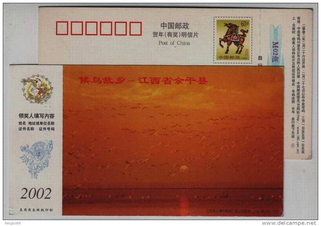 Homeland Of Migratory Bird,,China 2002 Yugan Country Landscape Advertising Pre-stamped Card - Grues Et Gruiformes