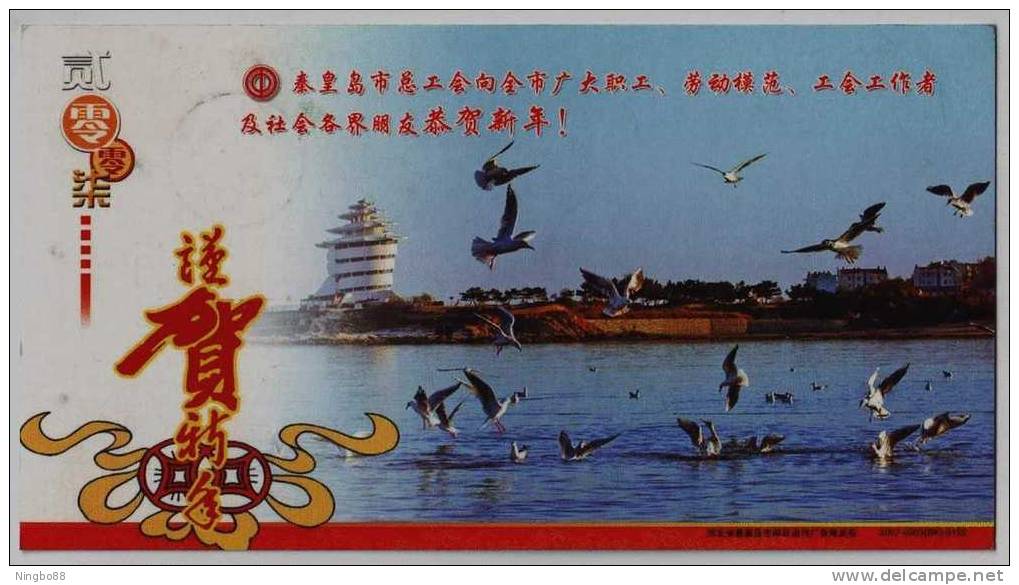 Seagull Bird Fishing,China 2007 Qinhuangdao Labour Union New Year Greeting Advertising Pre-stamped Card - Gabbiani