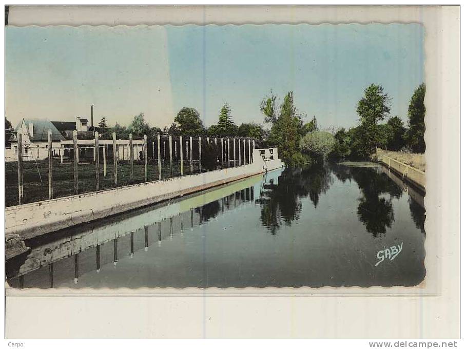 LE MELE-SUR-SARTHE. - La Piscine. - Le Mêle-sur-Sarthe