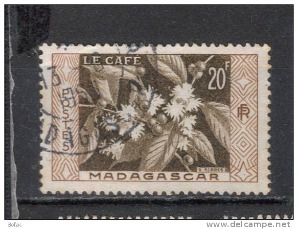 331  OBl   MADAGASCAR (colonies) "le Café" - Used Stamps