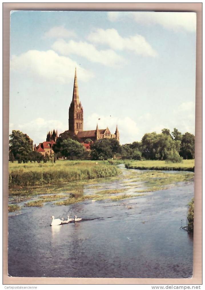 WILTSHIRE 06.04.1984 SALISBURY CATHEDRAL FROM RIVER / ARTHUR DIXON POSTCARD /3032A - Salisbury