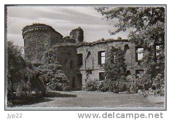 Jolie CP Photo Allemagne Andernach Am Rhein - Schlosspartie - Pas écrite - Ruines D'un Château - Andernach