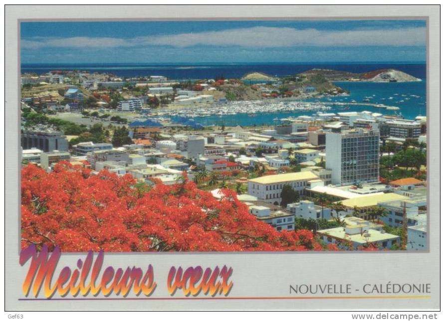 Meilleurs Voeux - Nouméa - Nouvelle-Calédonie (1996) - Nouvelle Calédonie