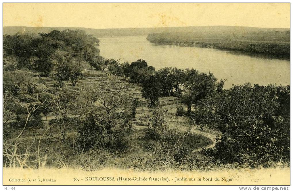 HAUTE- GUINEE . KOUROUSSA .  JARDIN SUR LE BORD DU NIGER . - Guinea