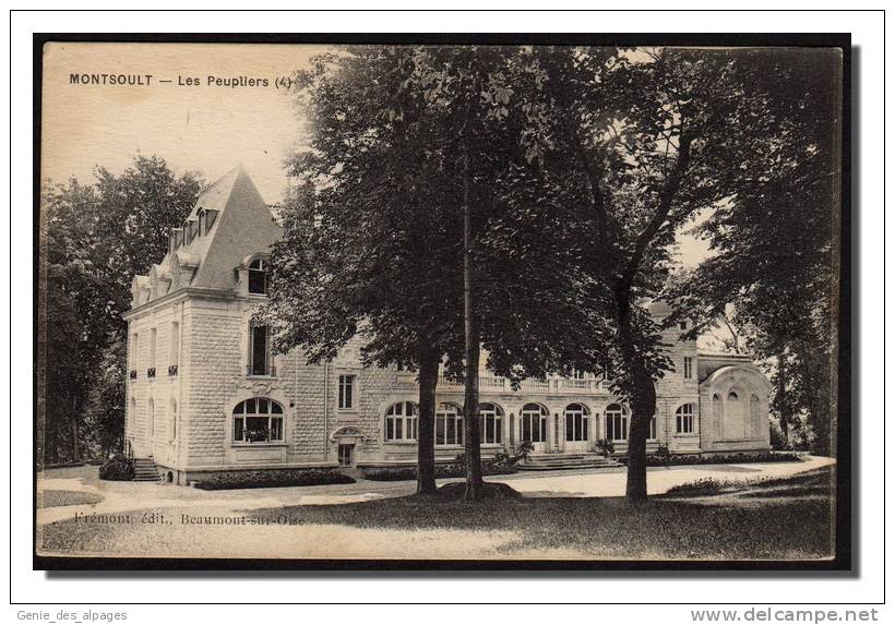 95 MONTSOULT, Les Peupliers, Ed Frémont, Impr Le Deley, Dos Div.vierge - Montsoult