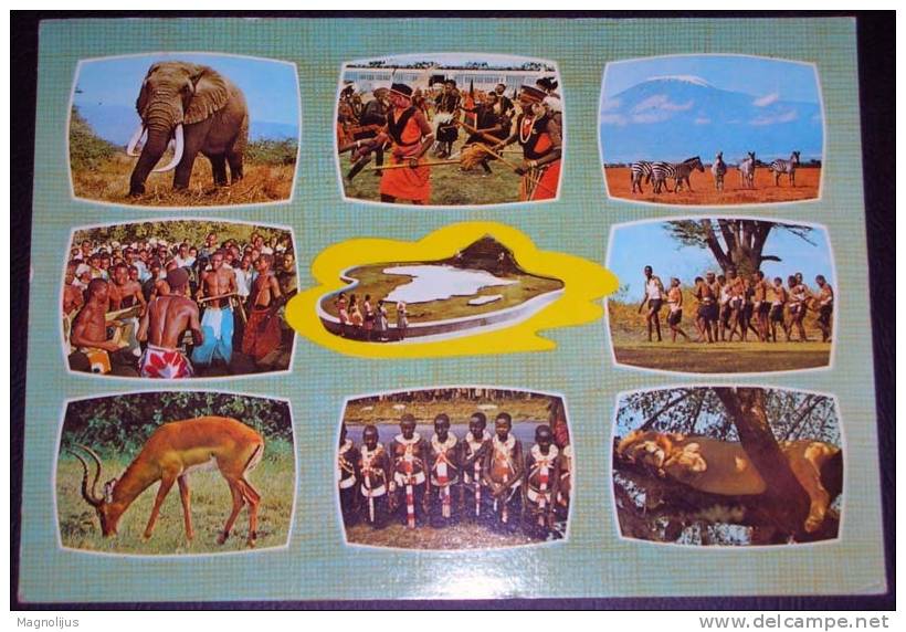 Africa,Kenya,Tribe,Folklore,Customs,Animals,Wild,Multipicture,postcard - Kenya