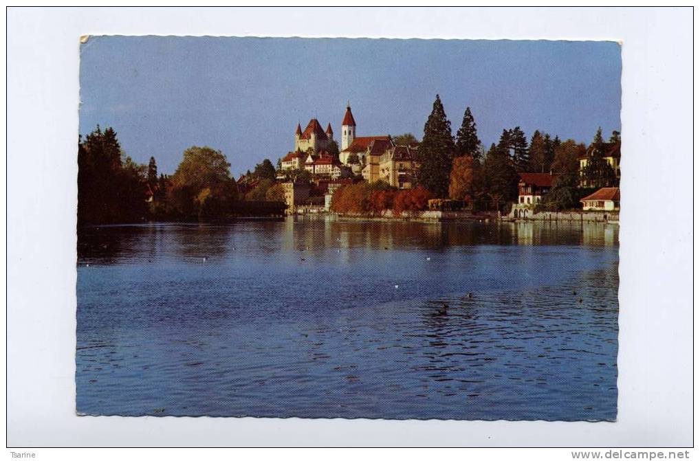 Suisse : Bassin De THOUNE (THUN) - Thun