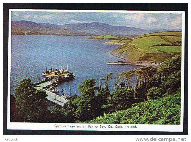 Spain Fishing Theme Postcard Spanish Trawlers At Bantry Bay County Cork Ireland Eire - Ref B149 - Cork