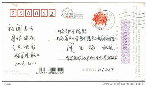 Coneshell Shell , Dalian Shell Museum  ,  Pre-stamped Card , Postal Stationery - Muscheln