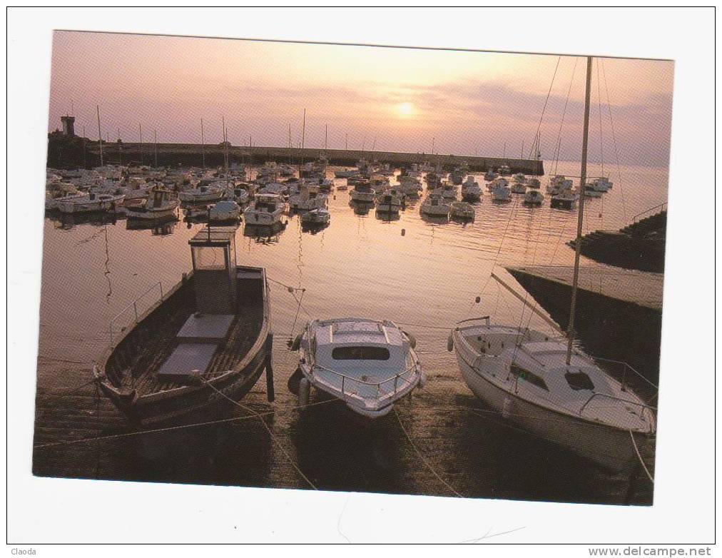 5289 TREGUNC - Port De Trévignon Au Coucher Du Soleil - Trégunc