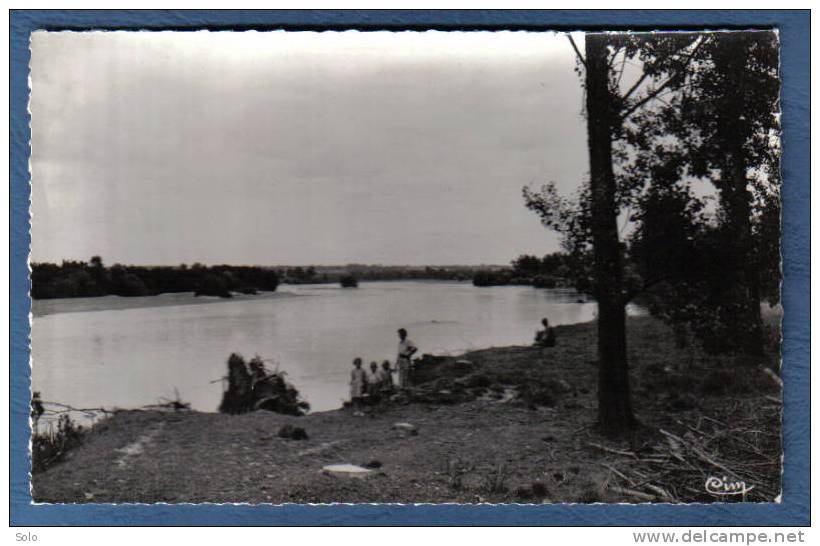 LERE - Les Bords De La Loire - Lere