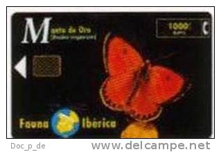 Spain - Spanien - Fauna Iberica - Schmetterling - Butterfly - Emissioni Di Base