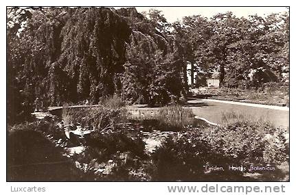 LEIDEN. HORTUS BOTANICUS. - Leiden