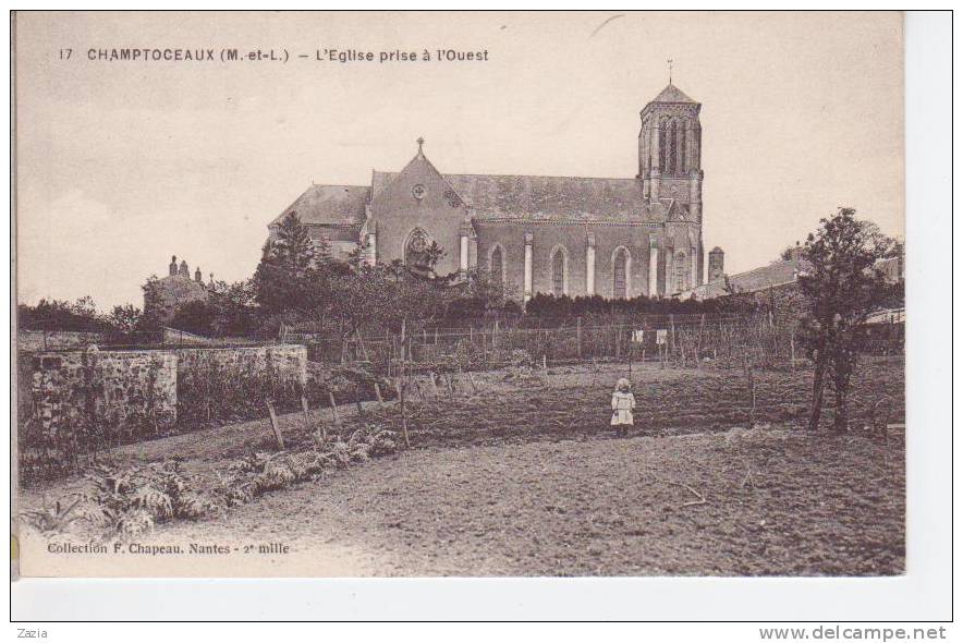 49.054/ CHAMPTOCEAUX - L'église Prise à L'Ouest - Champtoceaux