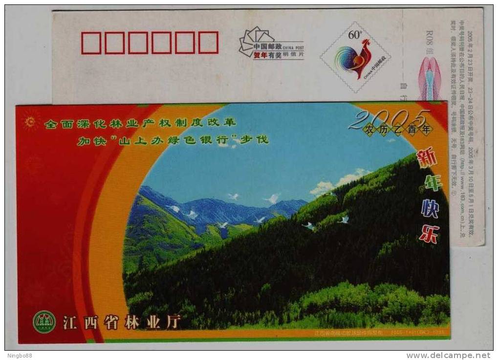 Crane Bird,deep Mountain Forest,China 2005 Forestry Department Of Jiangxi Province Advertising Pre-stamped Card - Grues Et Gruiformes