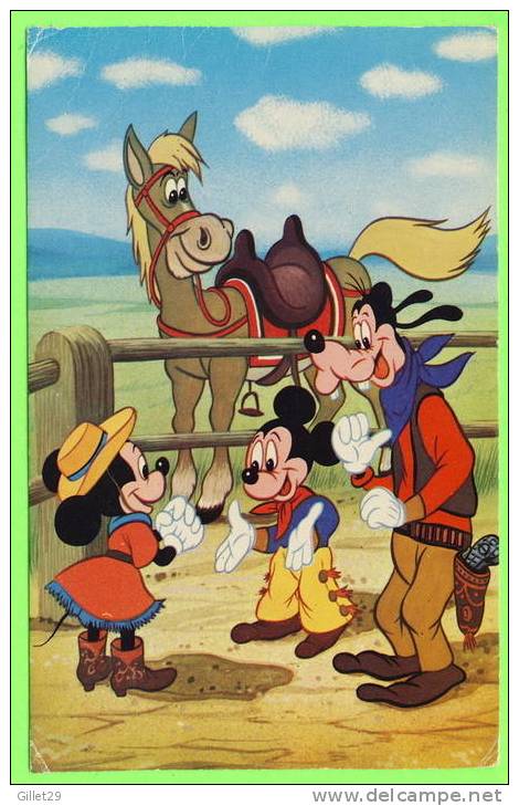 DISNEY - PLUTO - MICKEY MOUSE - 1973 WALT DISNEY - CIRCULÉE EN 1984 - - Disneyworld