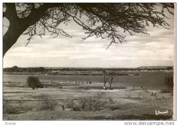 CARTE POSTALE DU NIGER - NIAMEY - LES BORDS DU FLEUVE - Niger