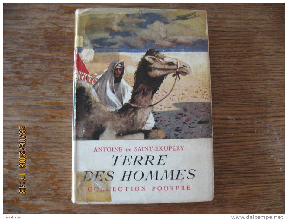 Ancien TERRE DES HOMMES Antoine De Saint-Exupéry  Jacquette Papier GALLIMARD - Collection Pourpre