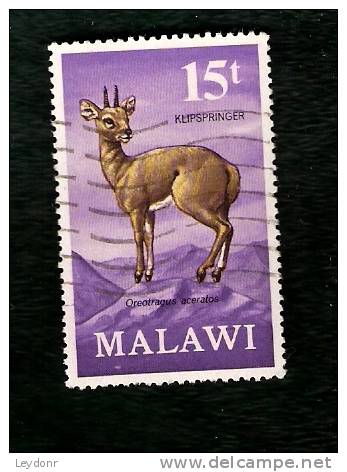 Malawi - Klipspringer - Scott # 154 - Malawi (1964-...)