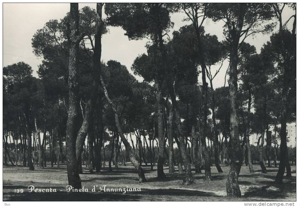 PESCARA  ABRUZZO  NON  VIAGGIATA  COME DA FOTO IMMAGINE LUCIDA - Pescara