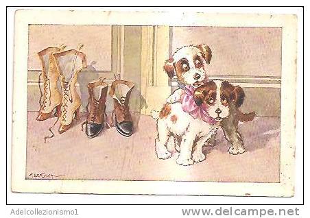 9121) Cartolina Con Cani E Scarpe In Amore-firmata  A. Bertiglia-nuova - Bertiglia, A.