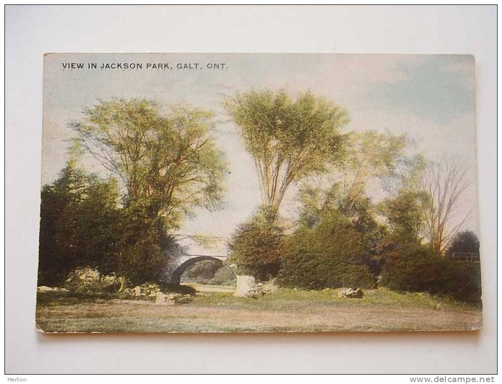 Ontario - Galt - View In Jackson Park - Canada   -cca 1910´s   F  D31394 - Altri & Non Classificati