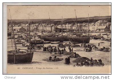 CANCALE TRIAGE DES HUITRES VUE GENERALE - Cancale