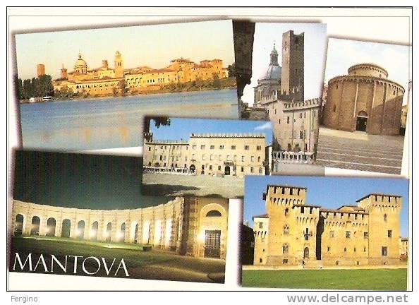 2825 - MANTOVA  - Vedutine - Mantova