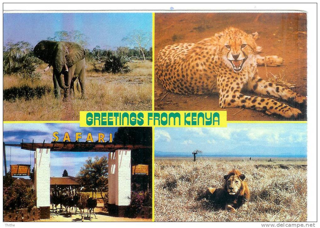 Greetings From KENYA - Lion - Elephant - Guépard - Autruches - Kenya