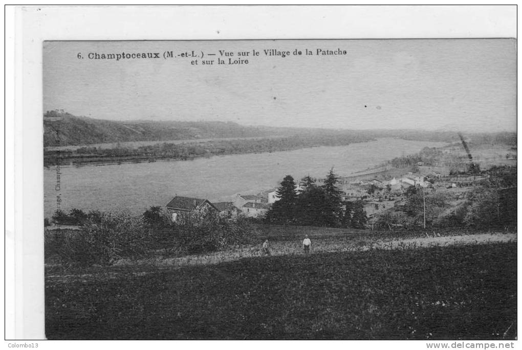 49  CHAMPTOCEAUX VUE SUR LE VILLAGE DE LA PATACHE ET SUR LA LOIRE - Champtoceaux