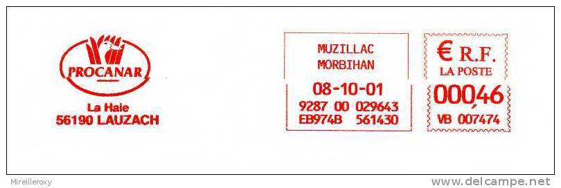 CANARD /  OIE  / FERME / AFFRANCHISSEMENT MECANIQUE /   EMA  MUZILLAC - Ducks