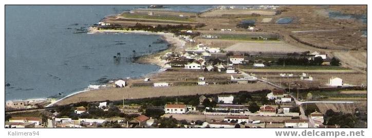 CHARENTE-MARITIME / ANGOULINS-SUR-MER ( Sud De LA ROCHELLE ) / VUE AERIENNE GENERALE / Ed. COMBIER  N° 435-37 A - Angoulins