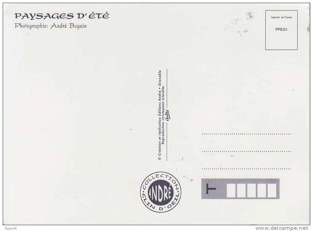 FRANCE CARTE MAXIMUM  NUM.YVERT 3602 LE MONT BLANC CARTE FORMAT 18X13 - 2000-2009