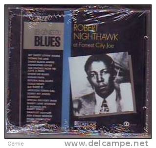 COLLECTION  LES  GENIES  DU  BLEUES  : ROBERT NIGHTHAWK   ET FOREST CITY JOE - Blues